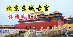 屄美中国北京-东城古宫旅游风景区